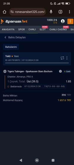 Screenshot_2024-12-07-21-35-44-114_com.android.chrome.jpg