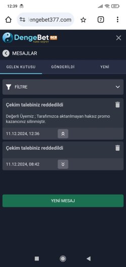 Screenshot_2024-12-11-12-39-09-919_com.android.chrome.jpg