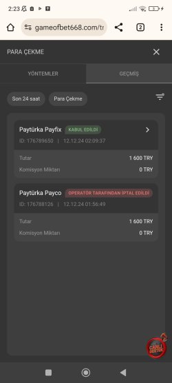 Screenshot_2024-12-12-02-23-22-713_com.android.chrome.jpg