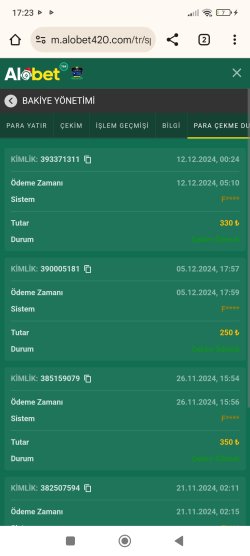 Screenshot_2024-12-12-17-23-10-993_com.android.chrome.jpg