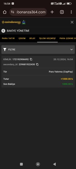 Screenshot_2024-12-20-16-54-57-775_com.android.chrome.jpg