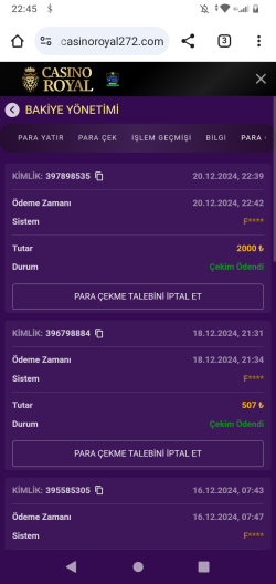 Screenshot_20241220-224519.png