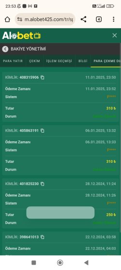 Screenshot_2025-01-11-23-53-33-221_com.android.chrome.jpg