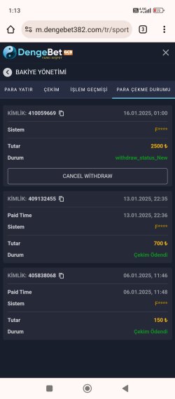Screenshot_2025-01-16-01-13-49-946_com.android.chrome.jpg