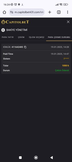 Screenshot_2025-01-19-16-24-01-073_com.android.chrome.jpg