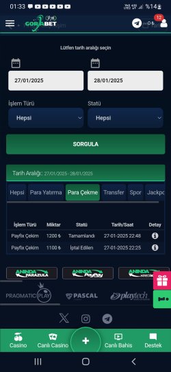 Screenshot_20250128-013322_Chrome.jpg