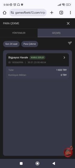 Screenshot_2025-01-30-00-58-29-735_com.android.chrome.jpg