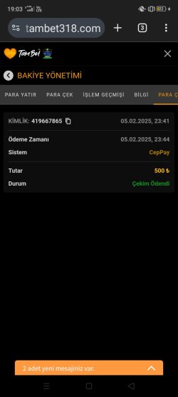 Screenshot_2025-02-06-19-03-28-73.jpg