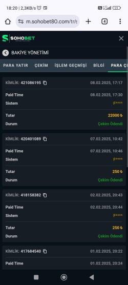 Screenshot_2025-02-08-18-20-34-245_com.android.chrome.jpg