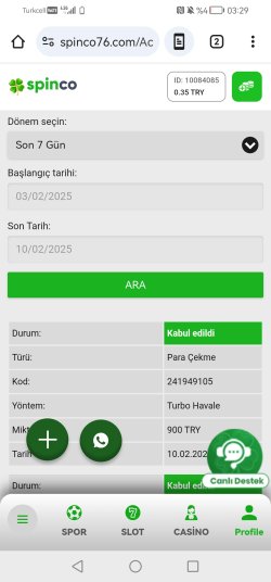 Screenshot_20250210_032910_com.android.chrome.jpg