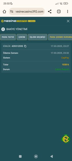 Screenshot_2025-03-17-23-32-48-142_com.android.chrome.jpg