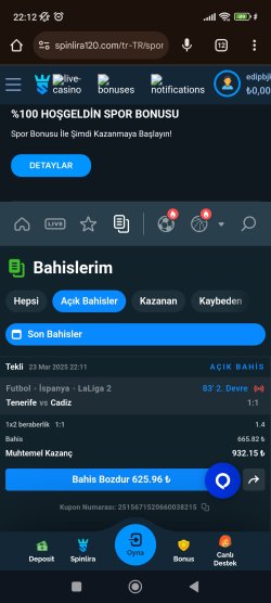 Screenshot_2025-03-23-22-12-48-609_com.android.chrome.jpg