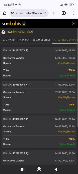 Screenshot_2025-03-24-18-43-17-685_com.android.chrome.jpg