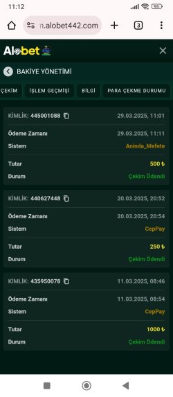Screenshot_2025-03-29-11-12-56-765_com.android.chrome.jpg