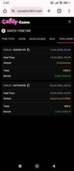 Screenshot_2025-04-14-02-49-30-618_com.android.chrome.jpg