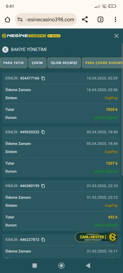 Screenshot_2025-04-17-00-41-04-789_com.android.chrome.jpg
