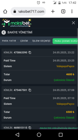 Ekran görüntüleri_20250525-174206.png