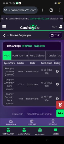 Screenshot_2025-06-10-11-31-08-27.jpg