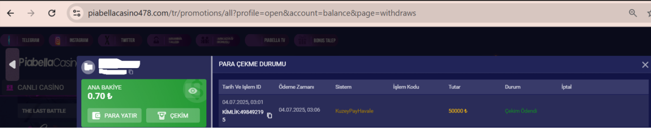 1751667603733.png