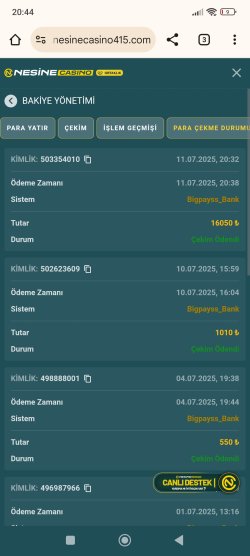 Screenshot_2025-07-11-20-44-48-887_com.android.chrome.jpg