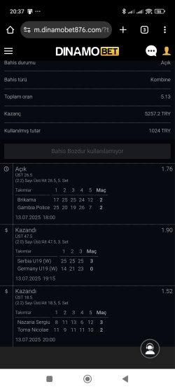 dinmo2.jpg