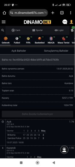 dinmo3.jpg